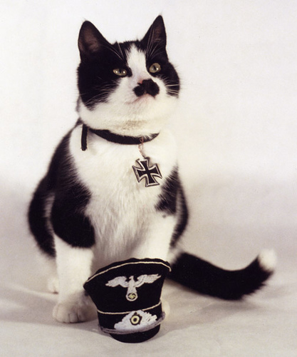 kitler30