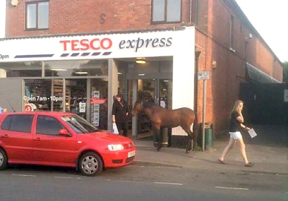tesco horse